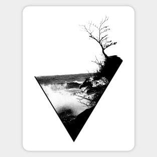 Shapes in Nature Sticker